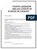 Contaminación Ambiental Ocasionado Por CESUR en El Disrito de Caracoto