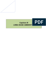 Linea Base Fisica PDF