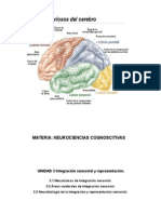 Integracion Sensorial y Representacion