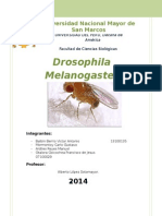 Drosophila Monografía