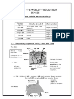 Chapter 1 The World Through Our Senses