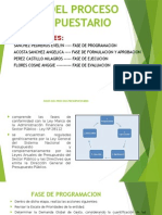 Fases Del Proceso Presupuestario