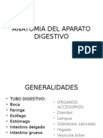 DIGESTIVO 