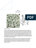 Alyssum: Lobularia Maritima