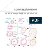 Siklus Ovarium Endometrium