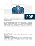 SISTEMA CIRCULATORIO Características y Funciones