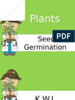 Seed Germination