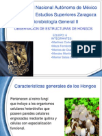 Eq 6 Observación de Estructuras de Hongos