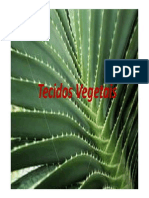 Aula 4 e 5-TECIDOS VEGETAIS (Modo de Compatibilidade) PDF