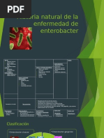 Historia Natural de La Enfermedad de Enterobacter 