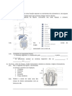 6º Ano - Sistema Digestivo #1