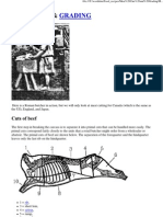 Meat Cuts and Grading