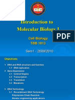 Introduction To Molecular Biology