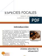 1 Especies Focales