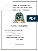 Proceso Criogenico