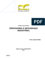 Ergonomia e Segurança Industrial... - 20130326113905 PDF