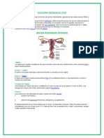 Sistema Reproductor (Autoguardado)