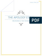 The Apology Essay