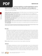 Aspectos Clínicos, Ultrassonográficos e Anatomopatológicos Da Displasia Renal em Lhasa Apso Com Nefropatia Juvenil Progressiva