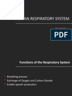 Respiration System