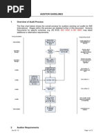 Auditor Guidelines