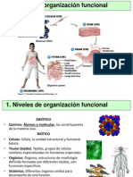 Presentación Tejidos Organos Sistemas y Aparatos Tema 2