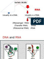 Rna and Transcription