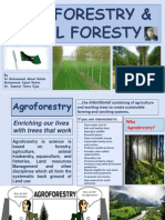 Agro Forestry and Social Forestry..ajmal Bhai - Nov 2015 PDF