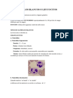 Morfologia de Los Leucocitos