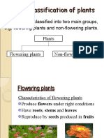 Classification of Plants