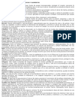 20 Palabras Relacionada de Frutas y Alimentos