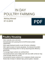 Modern Day Poultry Farming