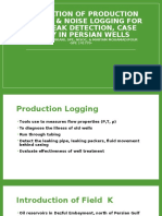 Application of Production Logging & Noise Logging For