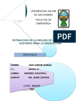 Extraccion de Melaza de Caña Como Sustrato para La Producción (Acho Sarzuri Marisol)