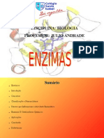 ENZIMAS