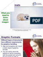 07 01-Graphic-Formats