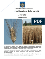 IRIDE Consigli Di Coltivazione