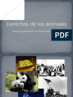 Derechos de Los Animales