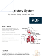 Respiratory System