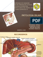 Seminario Patologia Biliar