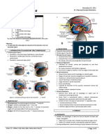 Anat 4.5 GIT Embryology Melendres