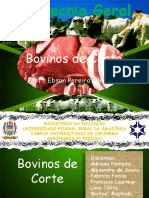 Bovinos de Corte