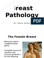 Breast Pathology