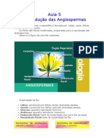 Biologia - Aula 05 - Reprodução Das Angiospermas