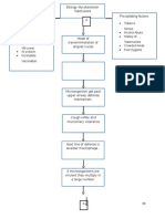 TB PathoPhysiology