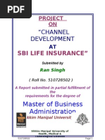 Marketing Project On SBI Channel Development