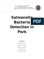 Salmonella