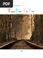 Tandem Poetry - The Train