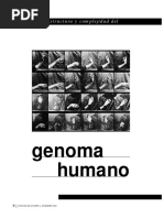 Estructura Y Complejidad Del Genoma Humano