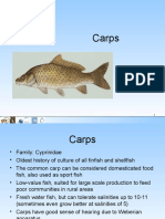 Unit 10 Carps